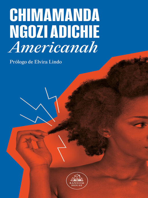 Title details for Americanah by Chimamanda Ngozi Adichie - Available